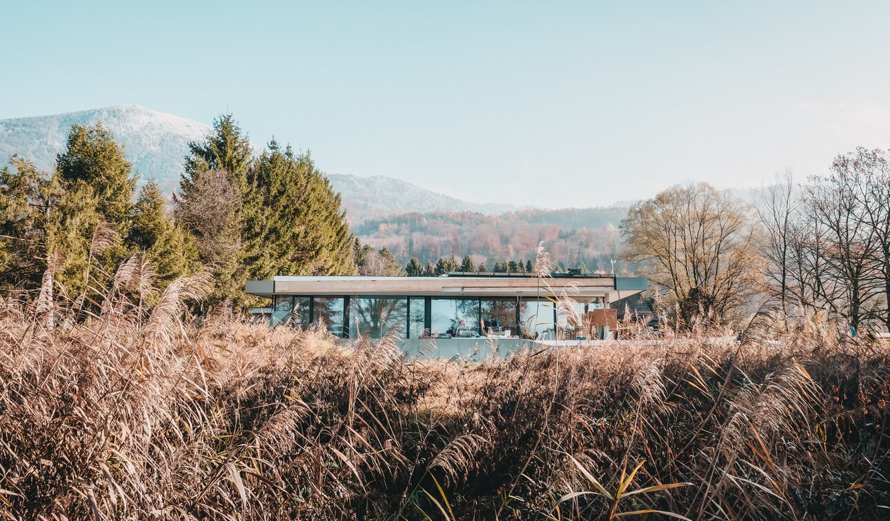 Furtwänglerpromenade Salzburg 2024